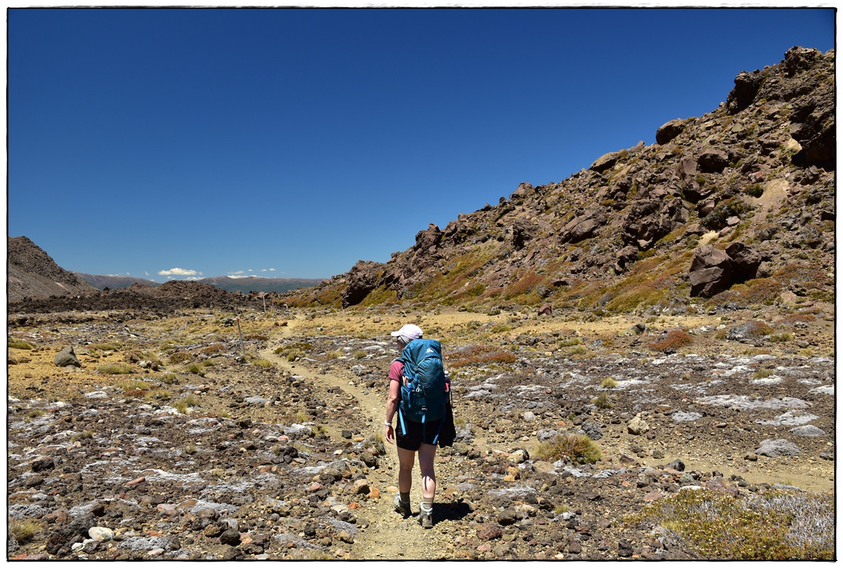 Tongariro NP: Tongariro Northern Circuit (enero 2022) - Escapadas y rutas por la Nueva Zelanda menos conocida (28)