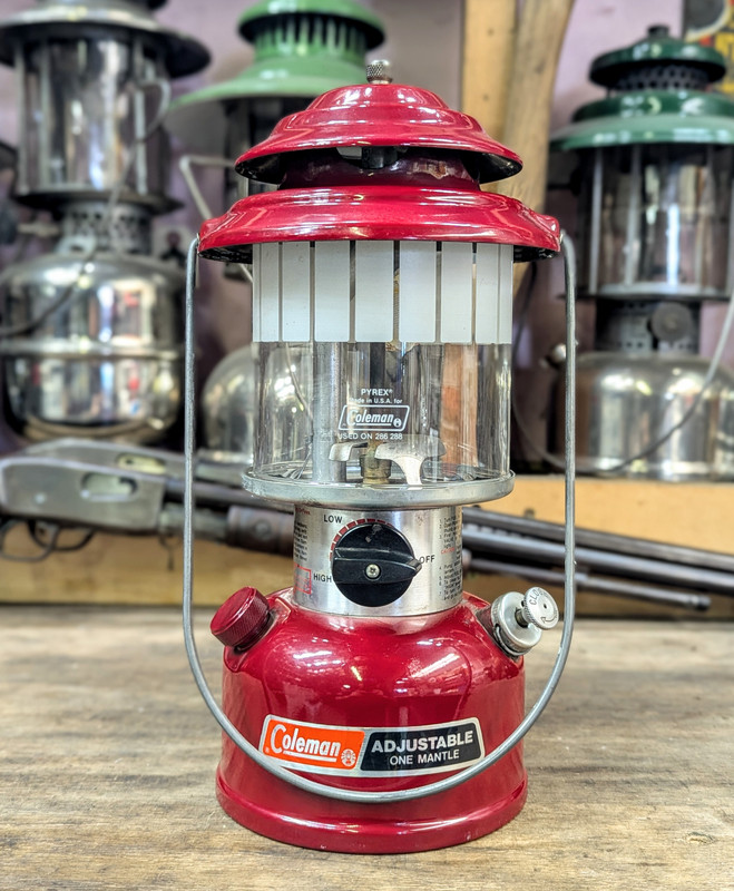 PXL_20251013_195242519.PORTRAIT~2