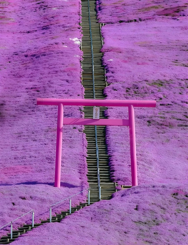 Screenshot_20240419_232059_Threads