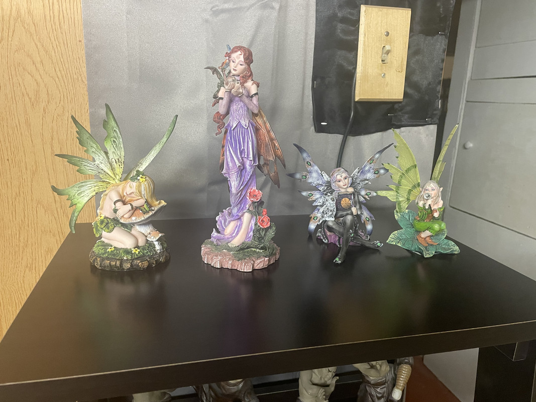 686E34D3-34E0-4F89-8A89-1CB7030C0A2D