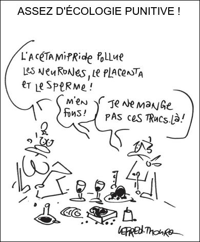 text alternatif