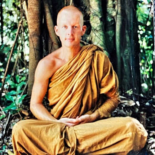 artworks ORWJb Jb RSQGw Ll AY 2c WV0A t500x500 (2)