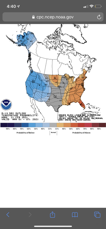 8CF34ECD-9057-47F7-BA96-25B1B09365A7