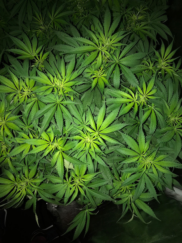 AE235EDD-1107-411B-B172-A74EB6208FB9