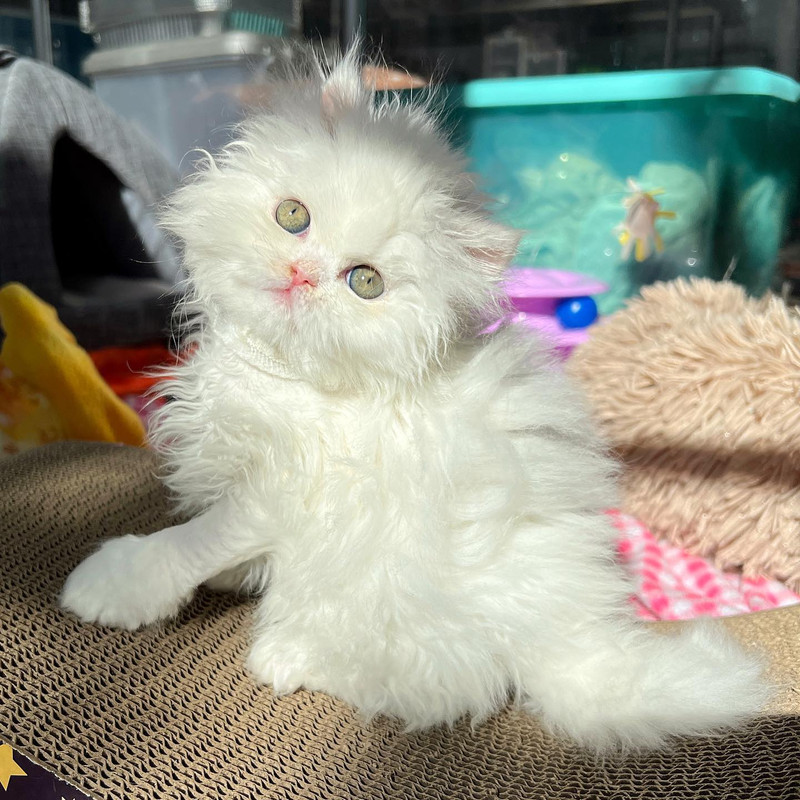 482218156_9087118718077163_2341800654228960818_n