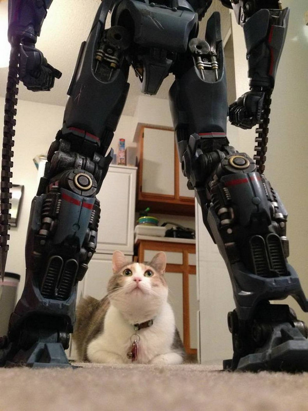 11513782