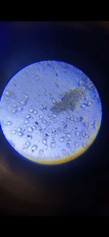 139FFF07-94B6-4AB1-B165-5A50C8829699