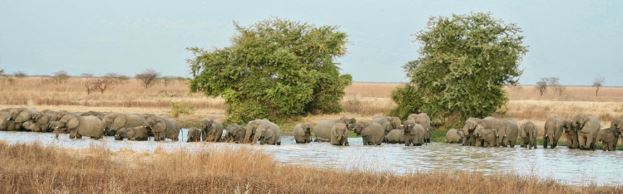 Waza National Park