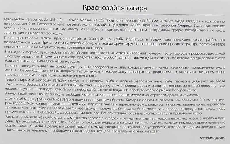 https://i.postimg.cc/L6wJhX8b/IMG-20240326-110916.jpg