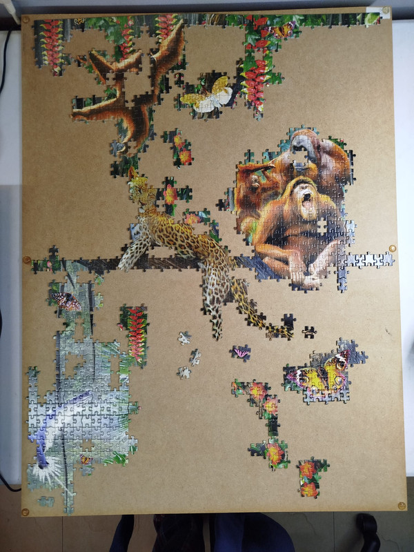 Whats App Image 2025 12 09 at 09 09 19(1)