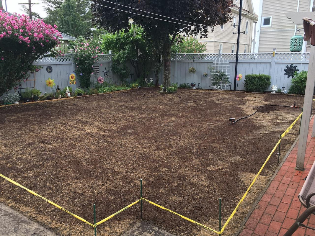 2017_Backyard_Reno_Day_3_Washout_1_small