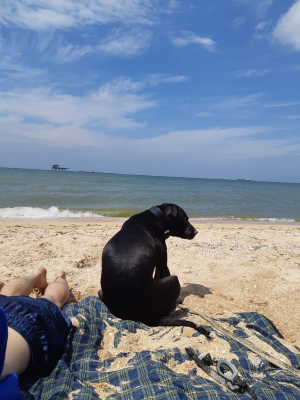 26CF049C-94D3-4C3D-B0E9-C8E210B36191