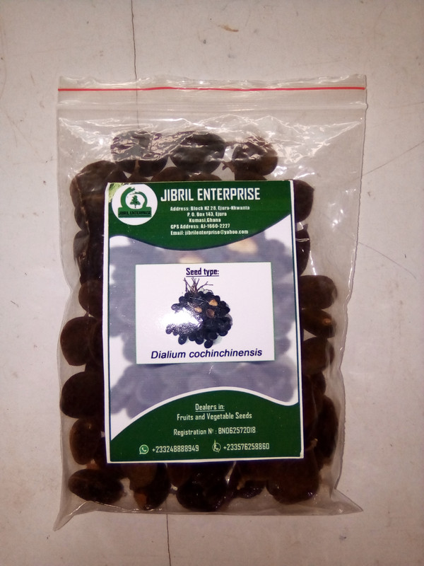 IMG_20201023_085919_7