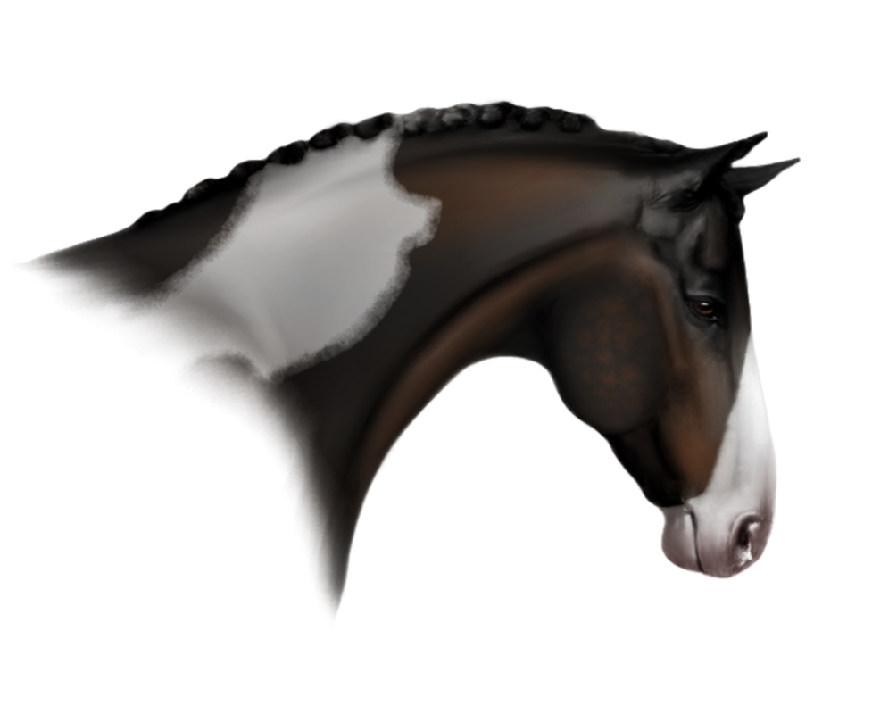 Untitled213_Restored4_20250113023739