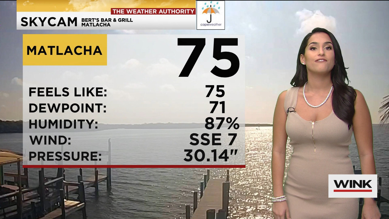 02.09 - 15.00.00 - WINK News at 10 00 a.m..ts_snapshot_00.16.20.416