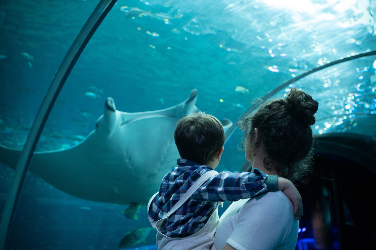 Tunnel haute mer-H-Lamblin-Iconocom (4)