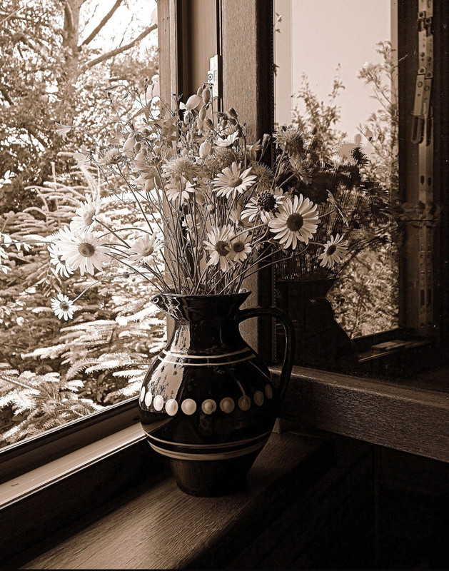 blacknwhite-summer-flowers-dis1.jpg