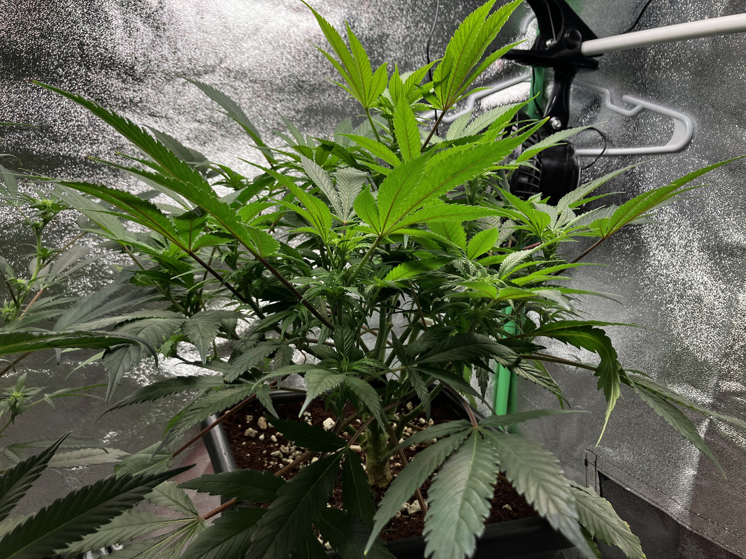 5EAEB0B7-6492-4211-AB9A-4022BF0EFB94