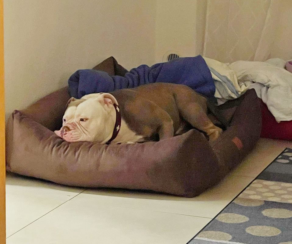 C8E8056E-DEFC-44B3-A6D9-F908FCC60343