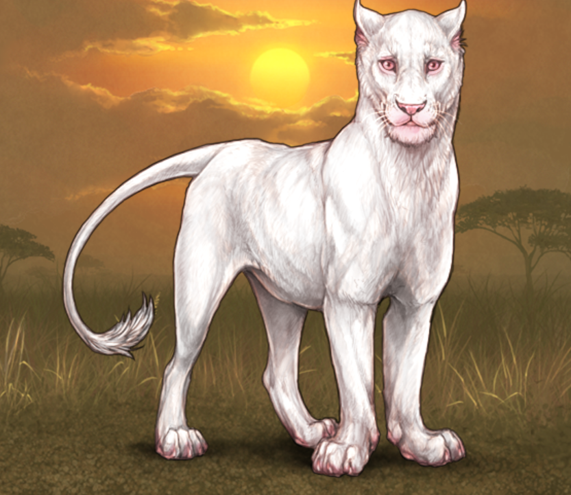 CRB Cubs for Sale! :|: Lioden