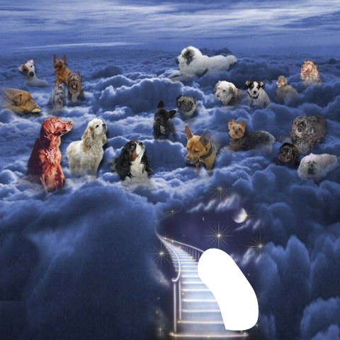 [Image: 2408133-67adc.jpg]