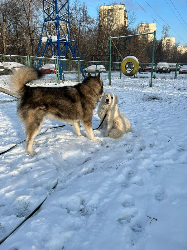 A0A3D033-FB8A-422C-A39F-DC9B188C4A9D