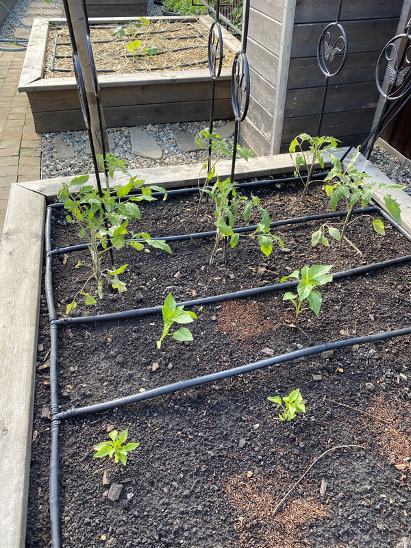 51948655-3B7C-4706-AB57-761C27005FB8