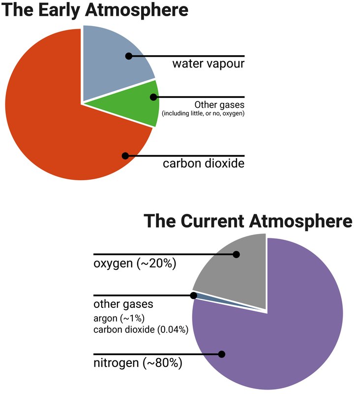 The Earth's Early and Current Atmosphere