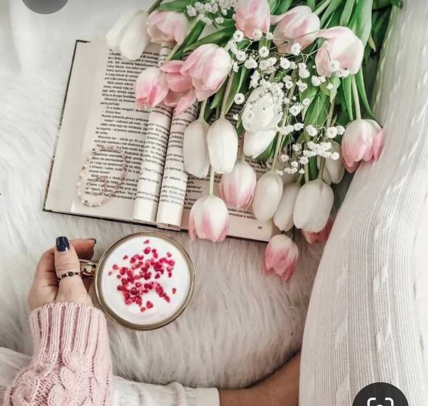 Screenshot_20230225_012659_Pinterest