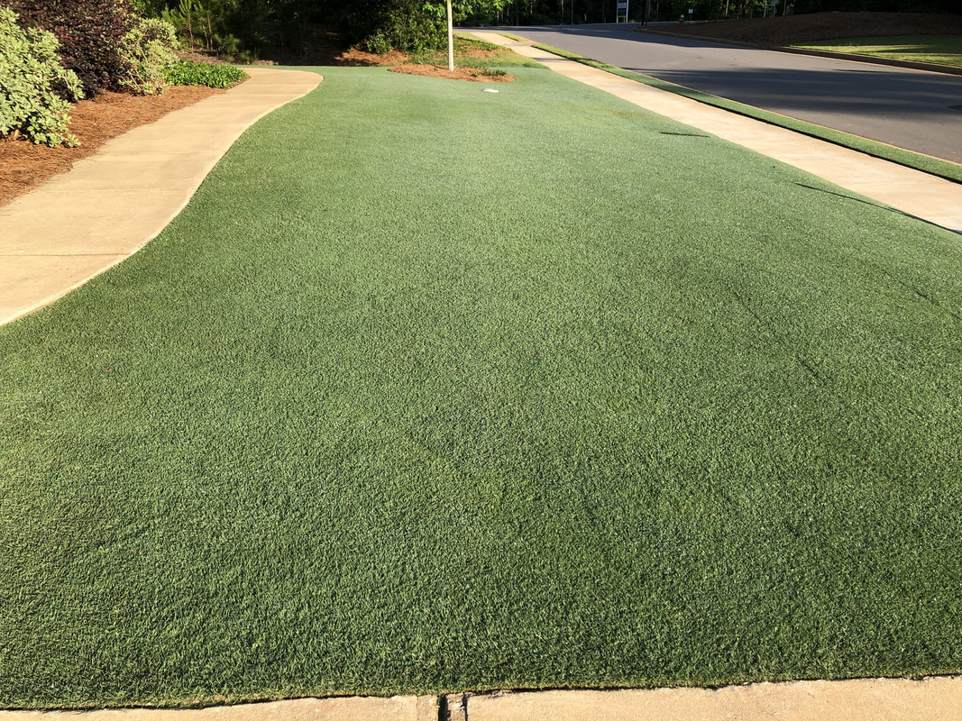 4195F79A-55F6-4E53-A36F-A1E077D1626F