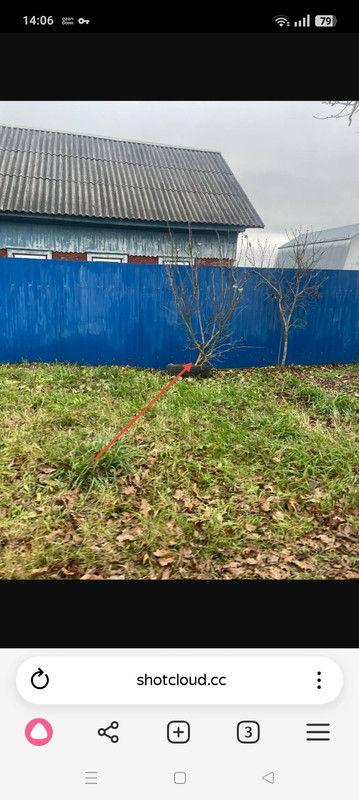 Screenshot 2025 11 17 14 06 19 89 21da60175e70af211acc4f26191b7a77