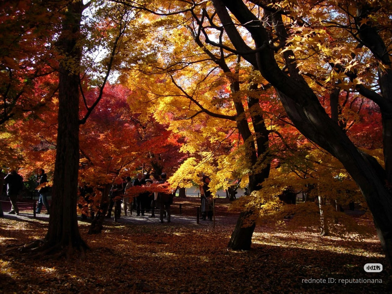 photo 2 2026 01 03 21 17 28