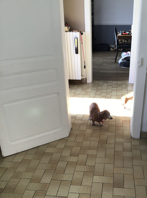 [Image: 96-E023-AD-8-B19-4569-9-A6-E-BFA3849-A8-A5-F.jpg]