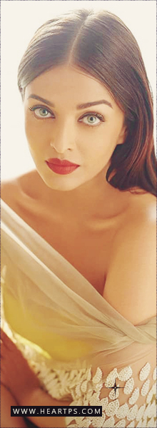 ���� ���� ������ �� ���� ������