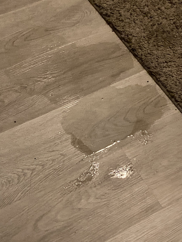 99C43A04-DB28-4444-BE67-772C14ECD720