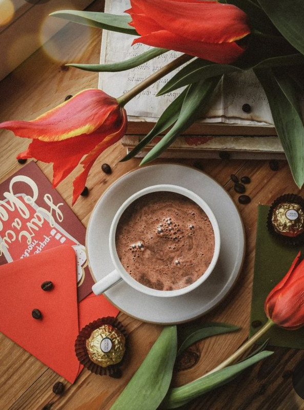 Screenshot_20230219_201423_Pinterest