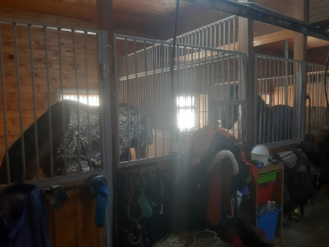 WhatsApp Image 2021-03-05 at 12.14.51 (1)