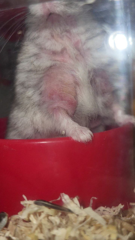 photo_5942869660074622985_y