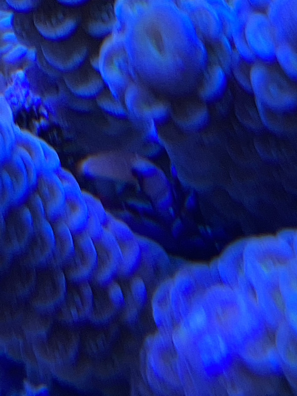 7AFD3C50-E954-4789-984E-D11350D95501