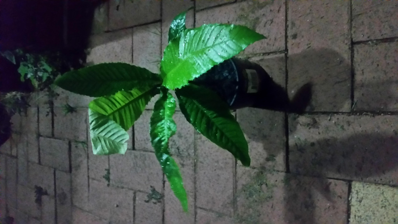 20160314_205530