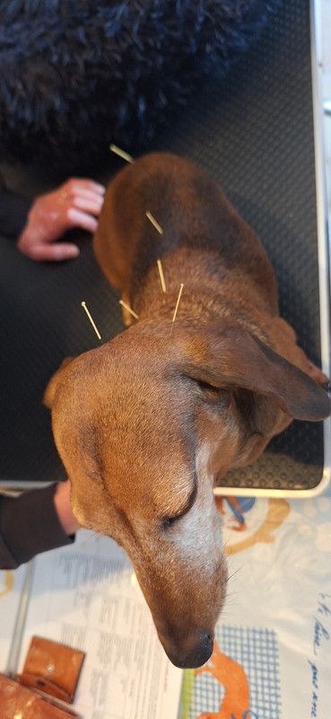 [Image: 20251002-170513.jpg]