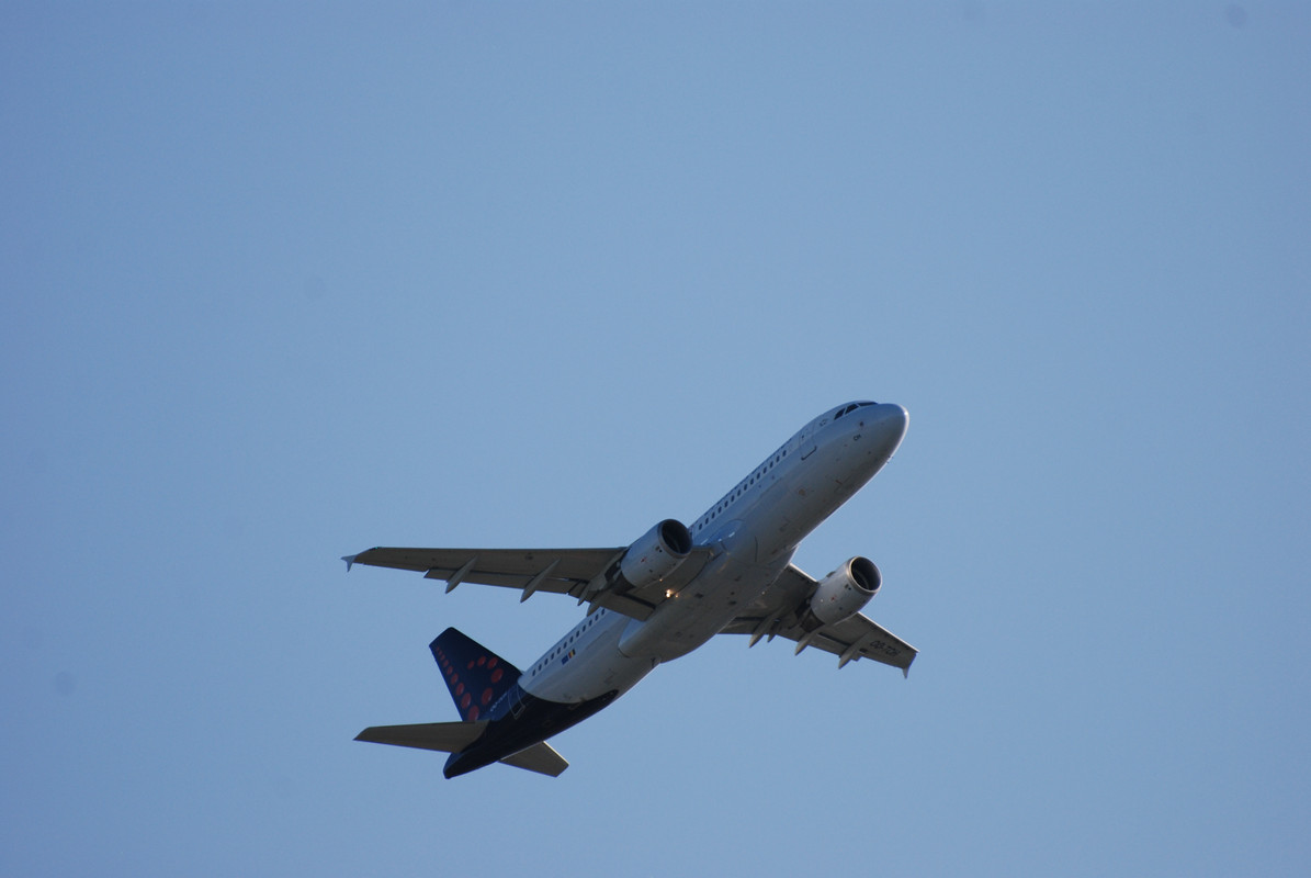 LIRF_14 dicembre 2019 (2)