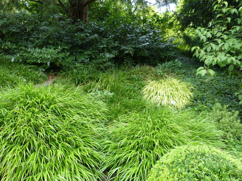 2014-07-13 Arboretum Härle 33