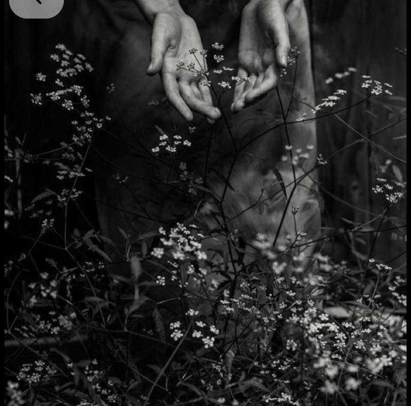 Screenshot_20251001_213804_Pinterest