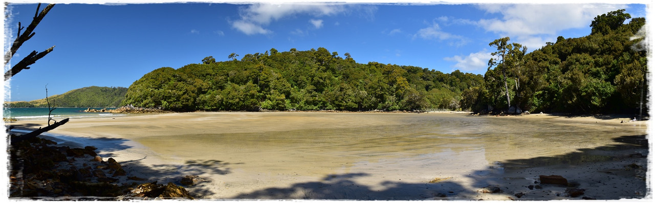 Stewart Island:  kiwis, Coast to Coast y unos días en Oban (febrero 2021) - Escapadas y rutas por la Nueva Zelanda menos conocida (47)