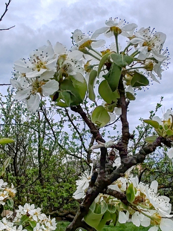 IMG 20260413 191544bbb