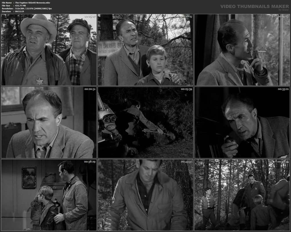 The Fugitive S02e05 Nemesis.mkv