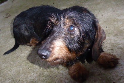 [Image: P1050807.jpg]