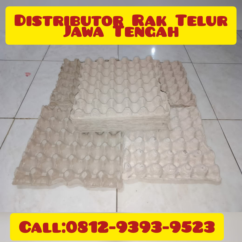 TERMURAH, CALL: 0812-9393-9523, Distributor Rak Telur Ayam Karton Asmat
