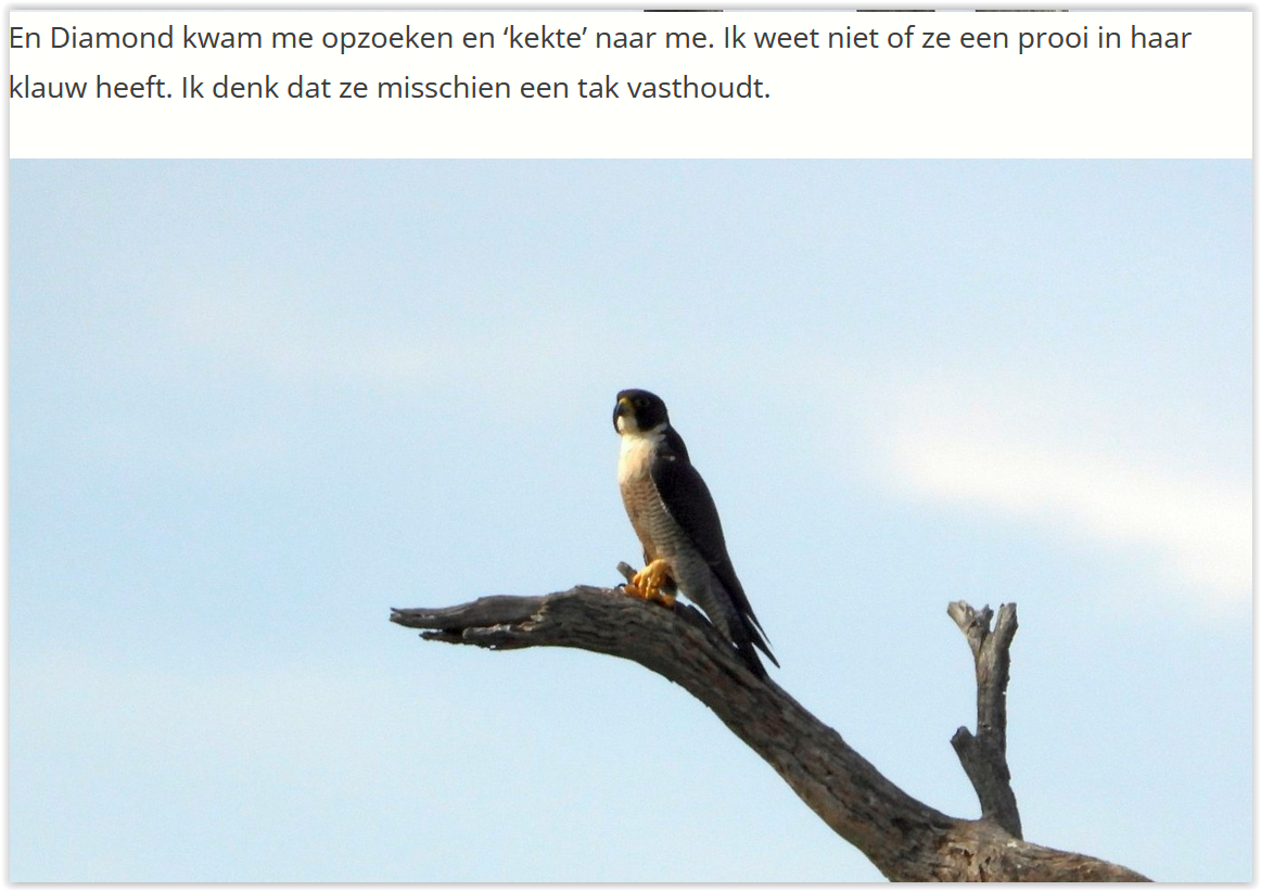 Screen Shot 12 21 25 at 09 58 AM 002